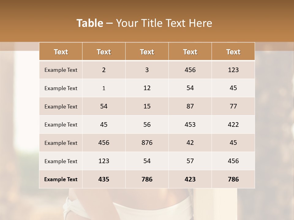 Floor Dark Lingerie PowerPoint Template