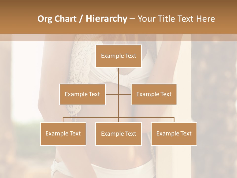 Floor Dark Lingerie PowerPoint Template