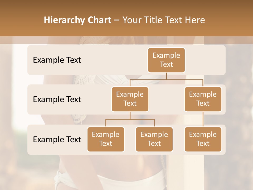 Floor Dark Lingerie PowerPoint Template