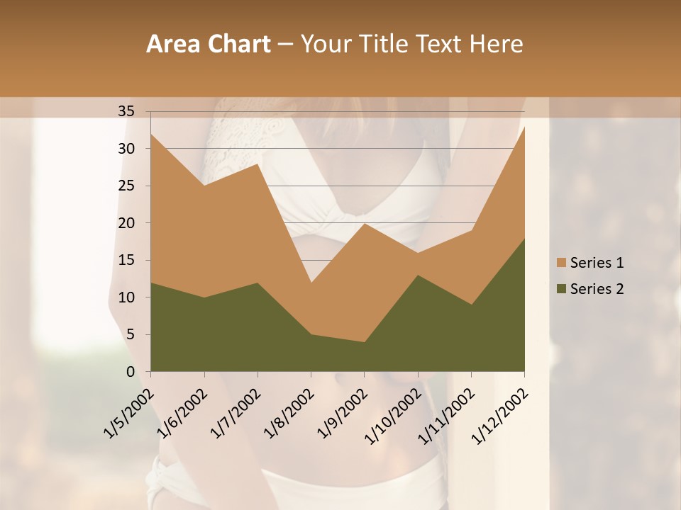 Floor Dark Lingerie PowerPoint Template