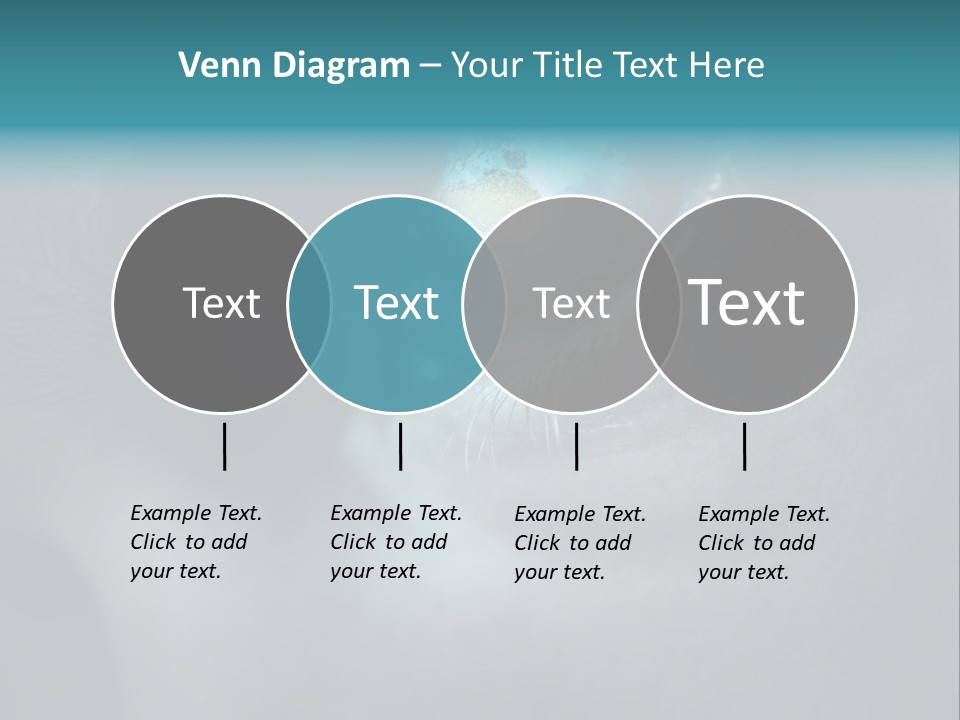 Naturschutz Cctv Pupille PowerPoint Template