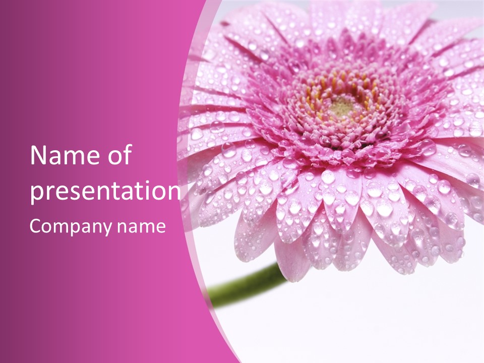 Wildflowers Bloom Seasonal PowerPoint Template