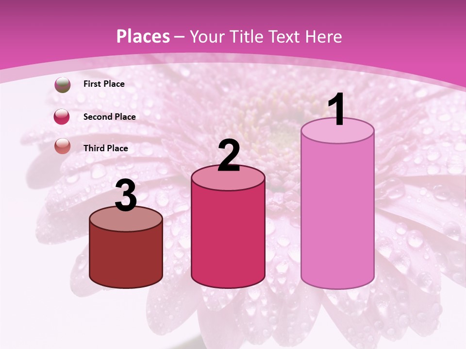 Wildflowers Bloom Seasonal PowerPoint Template