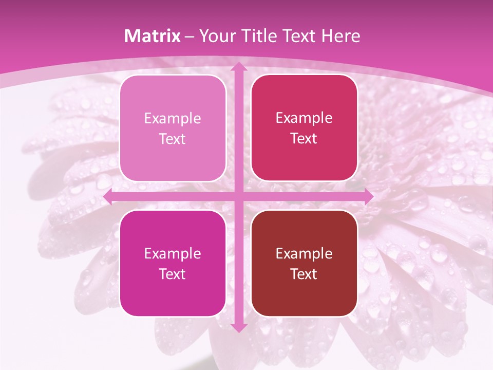 Wildflowers Bloom Seasonal PowerPoint Template