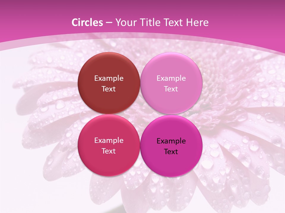 Wildflowers Bloom Seasonal PowerPoint Template