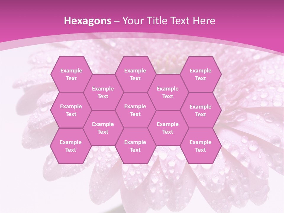 Wildflowers Bloom Seasonal PowerPoint Template