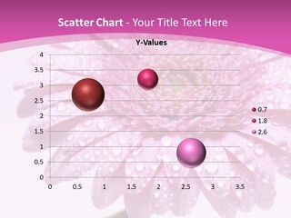 Wildflowers Bloom Seasonal PowerPoint Template