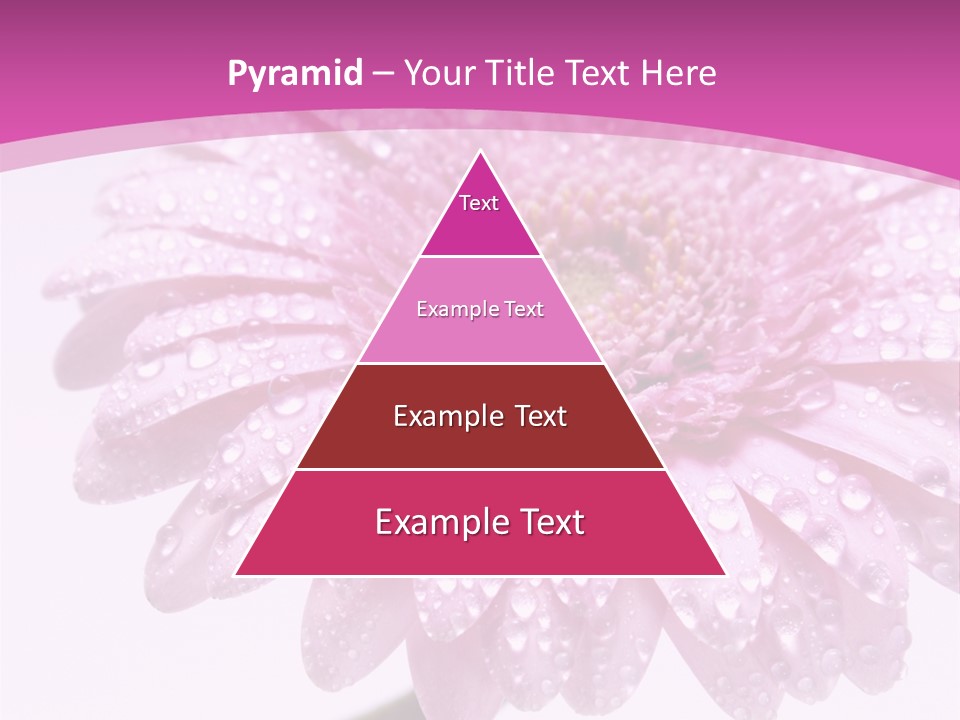 Wildflowers Bloom Seasonal PowerPoint Template