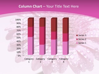 Wildflowers Bloom Seasonal PowerPoint Template