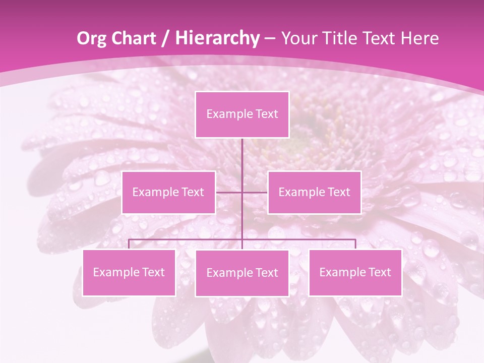 Wildflowers Bloom Seasonal PowerPoint Template