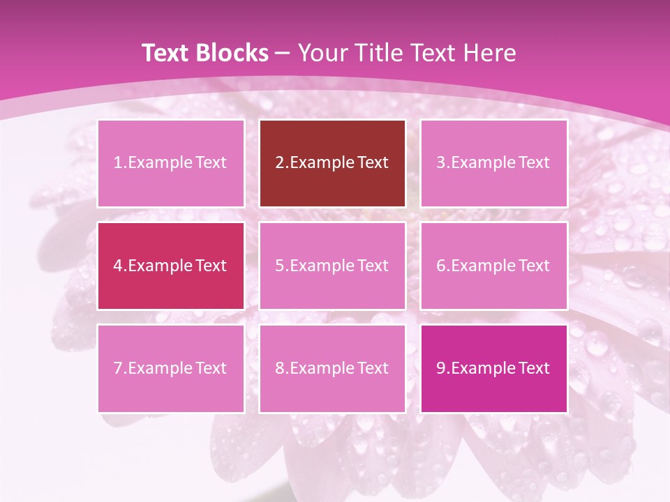 Wildflowers Bloom Seasonal PowerPoint Template