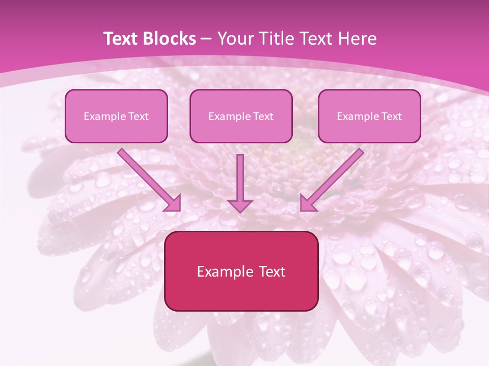 Wildflowers Bloom Seasonal PowerPoint Template