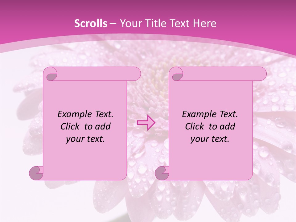 Wildflowers Bloom Seasonal PowerPoint Template