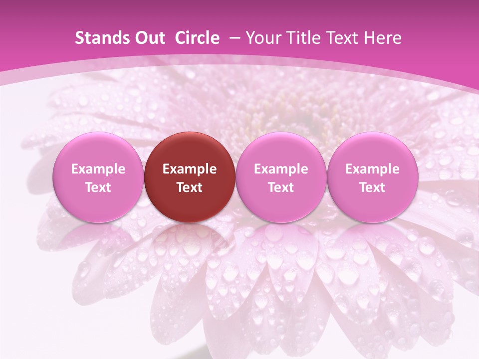 Wildflowers Bloom Seasonal PowerPoint Template