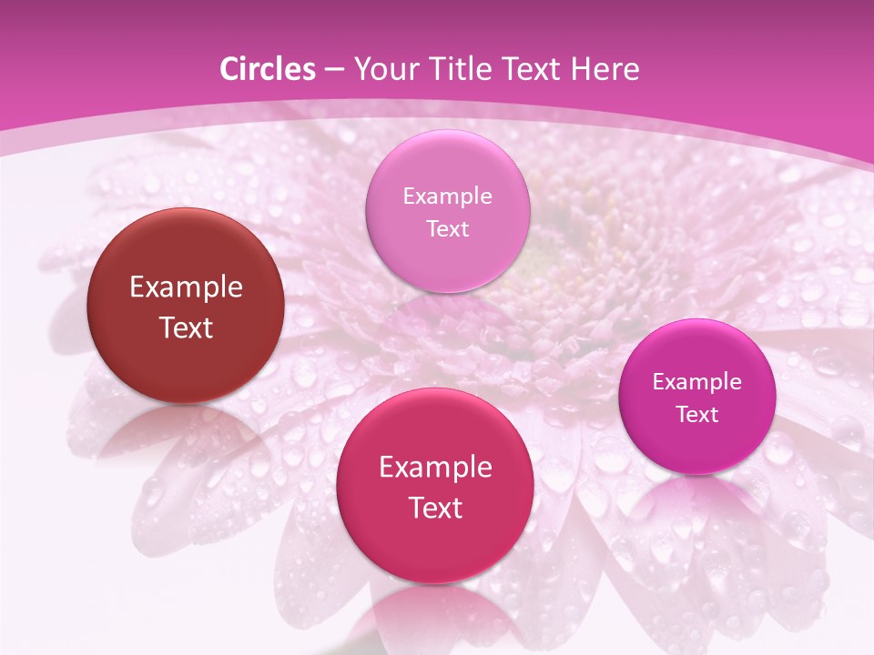 Wildflowers Bloom Seasonal PowerPoint Template