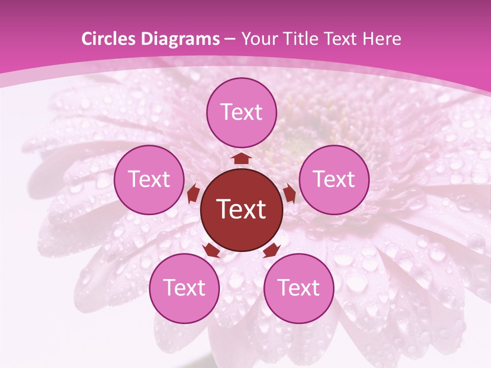 Wildflowers Bloom Seasonal PowerPoint Template