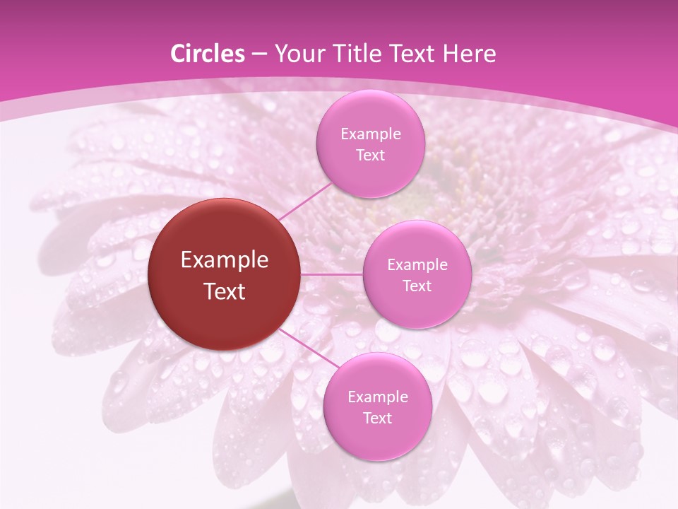 Wildflowers Bloom Seasonal PowerPoint Template