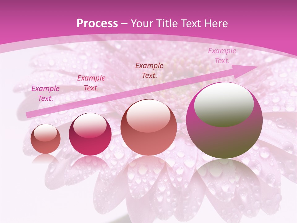 Wildflowers Bloom Seasonal PowerPoint Template