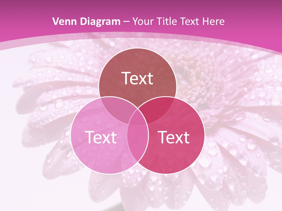 Wildflowers Bloom Seasonal PowerPoint Template