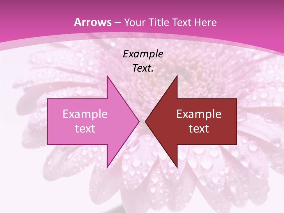 Wildflowers Bloom Seasonal PowerPoint Template