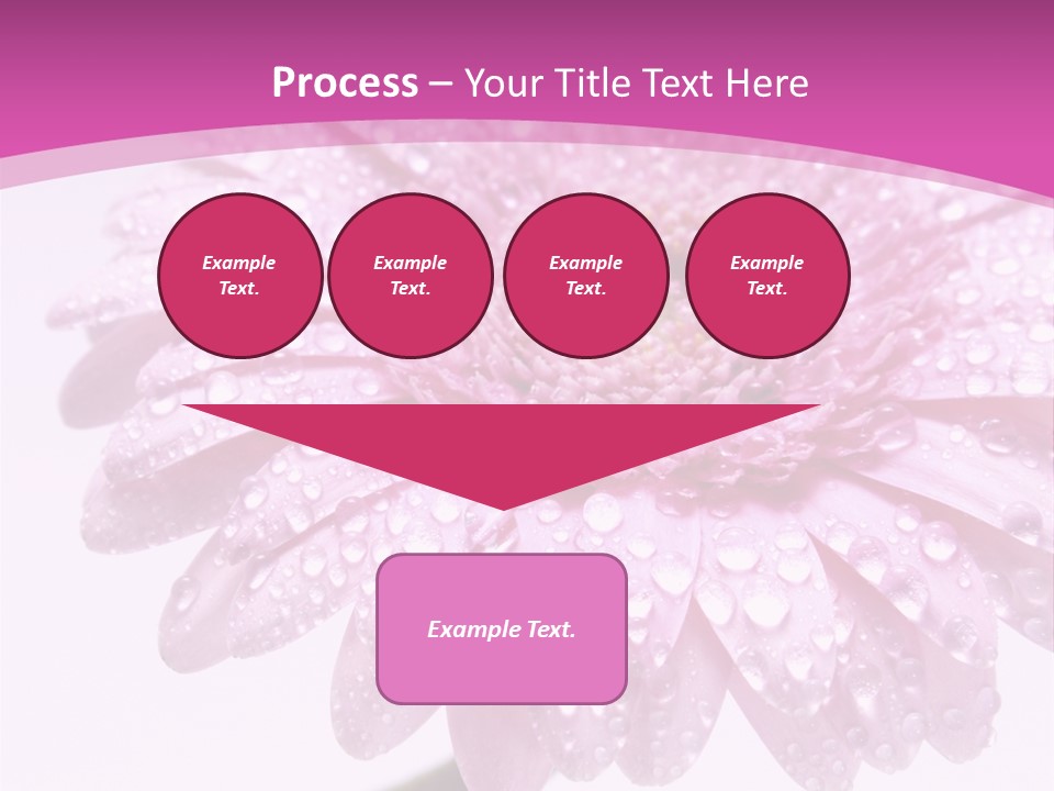 Wildflowers Bloom Seasonal PowerPoint Template
