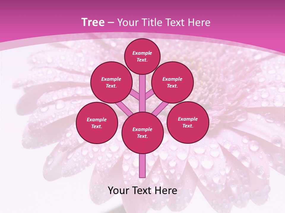 Wildflowers Bloom Seasonal PowerPoint Template