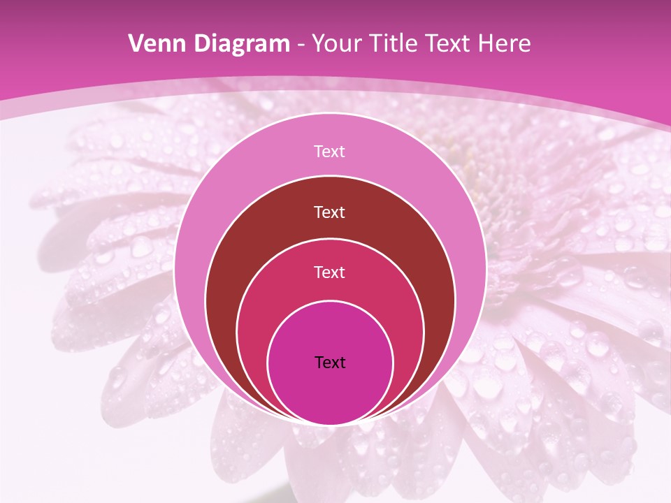 Wildflowers Bloom Seasonal PowerPoint Template