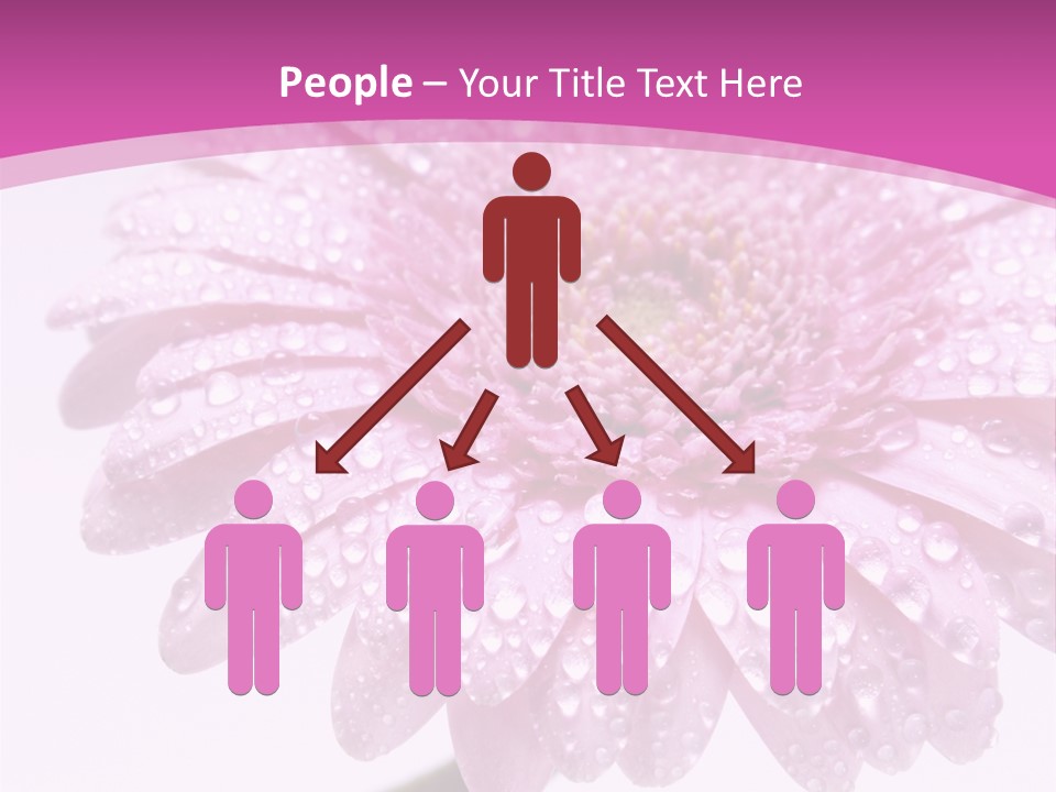 Wildflowers Bloom Seasonal PowerPoint Template