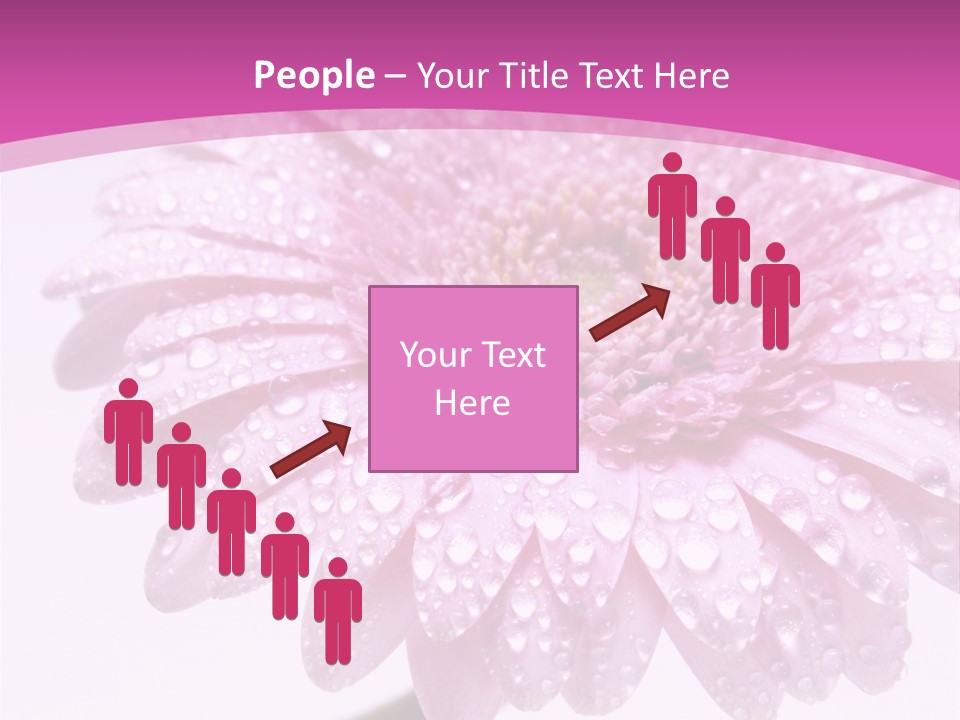 Wildflowers Bloom Seasonal PowerPoint Template