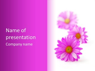 Beauty Postcard Purple PowerPoint Template