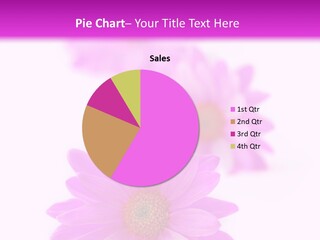 Beauty Postcard Purple PowerPoint Template