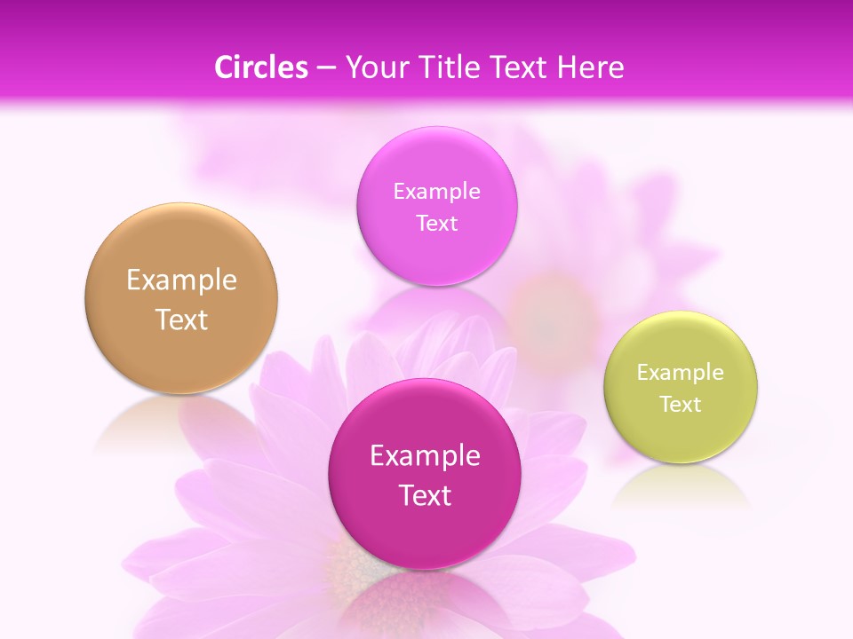 Beauty Postcard Purple PowerPoint Template