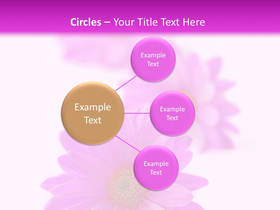 Beauty Postcard Purple PowerPoint Template