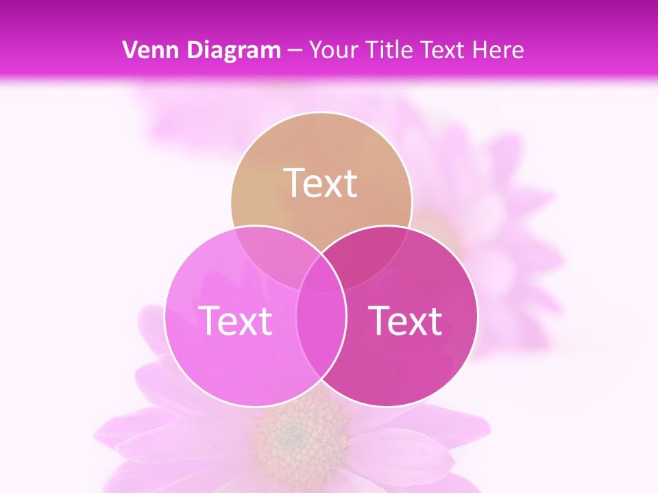 Beauty Postcard Purple PowerPoint Template