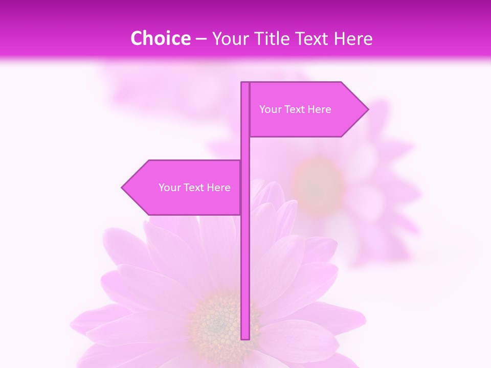 Beauty Postcard Purple PowerPoint Template