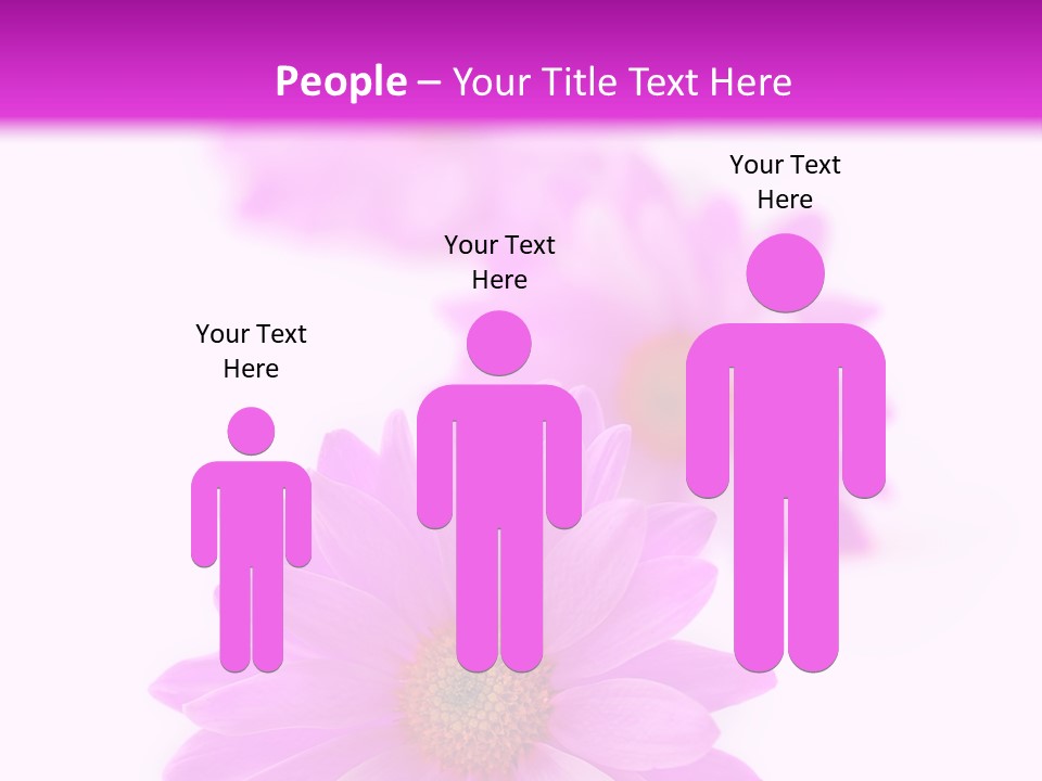 Beauty Postcard Purple PowerPoint Template