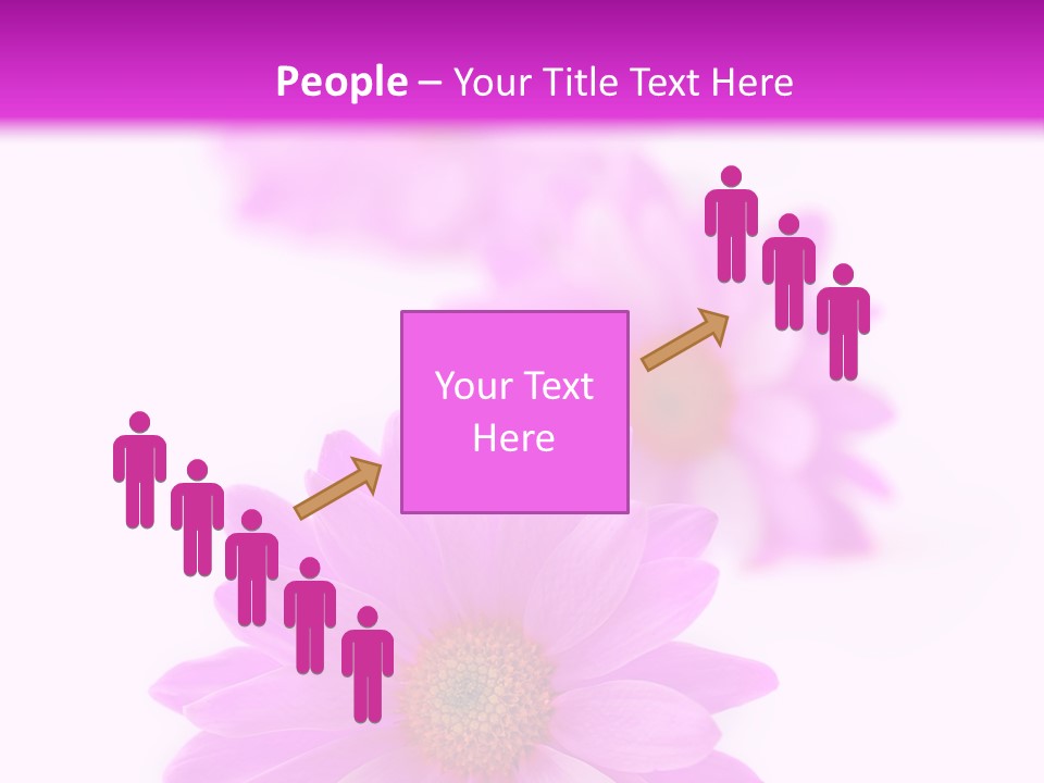 Beauty Postcard Purple PowerPoint Template