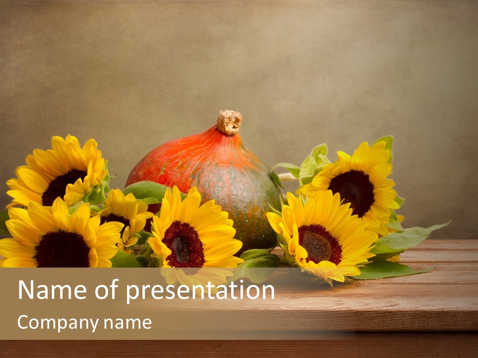 Brochure Aged Sunflower PowerPoint Template