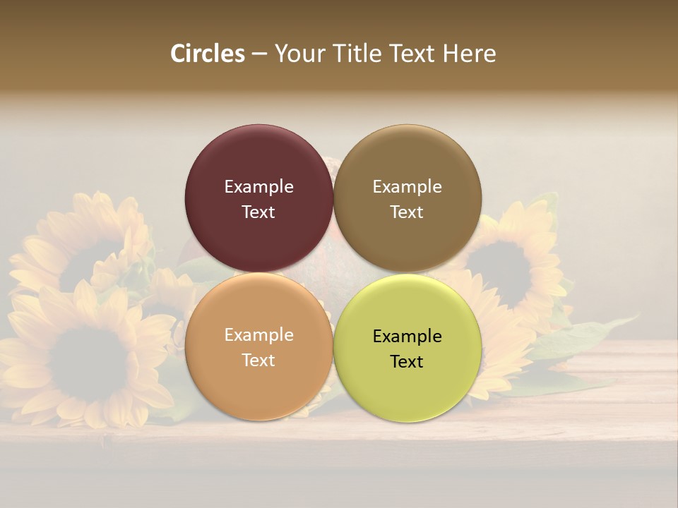 Brochure Aged Sunflower PowerPoint Template