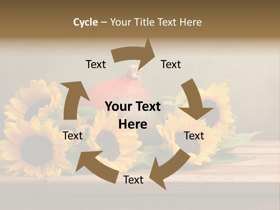 Brochure Aged Sunflower PowerPoint Template