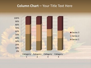 Brochure Aged Sunflower PowerPoint Template