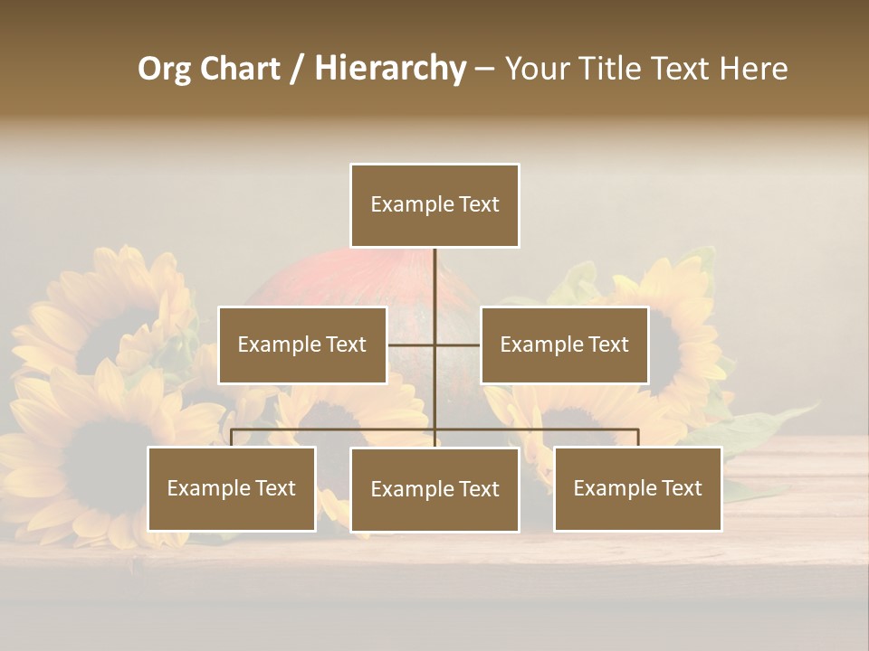 Brochure Aged Sunflower PowerPoint Template