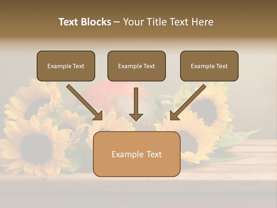 Brochure Aged Sunflower PowerPoint Template