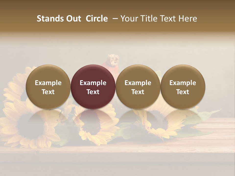 Brochure Aged Sunflower PowerPoint Template