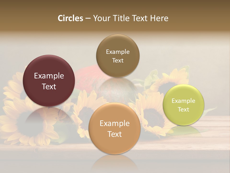 Brochure Aged Sunflower PowerPoint Template