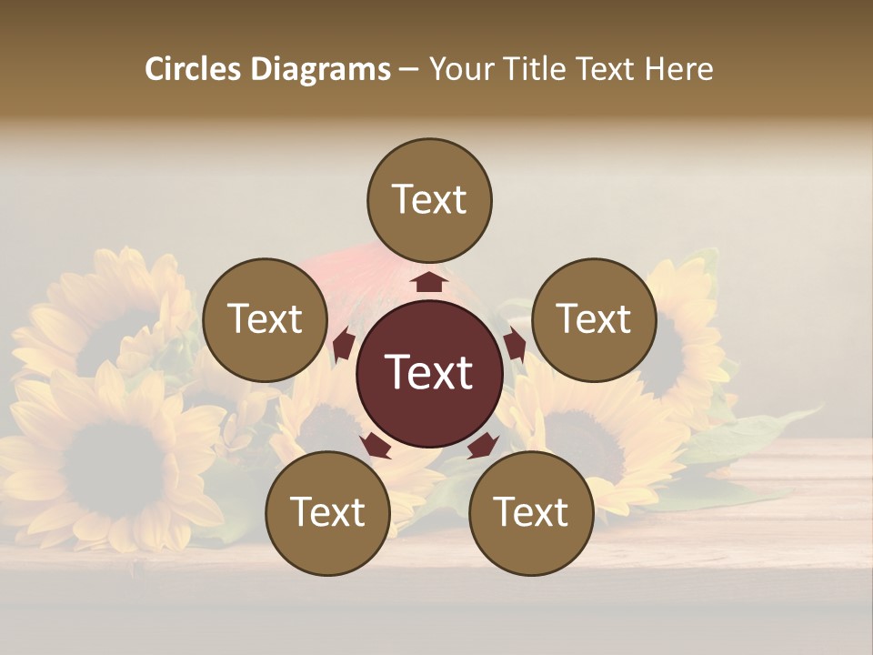 Brochure Aged Sunflower PowerPoint Template