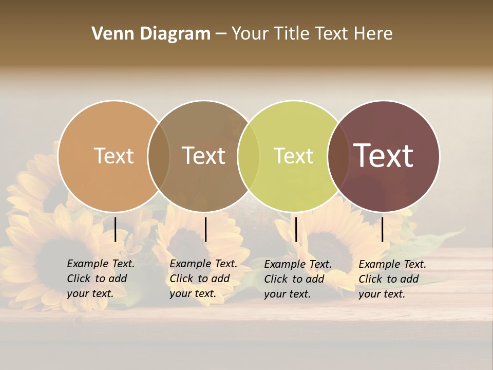 Brochure Aged Sunflower PowerPoint Template