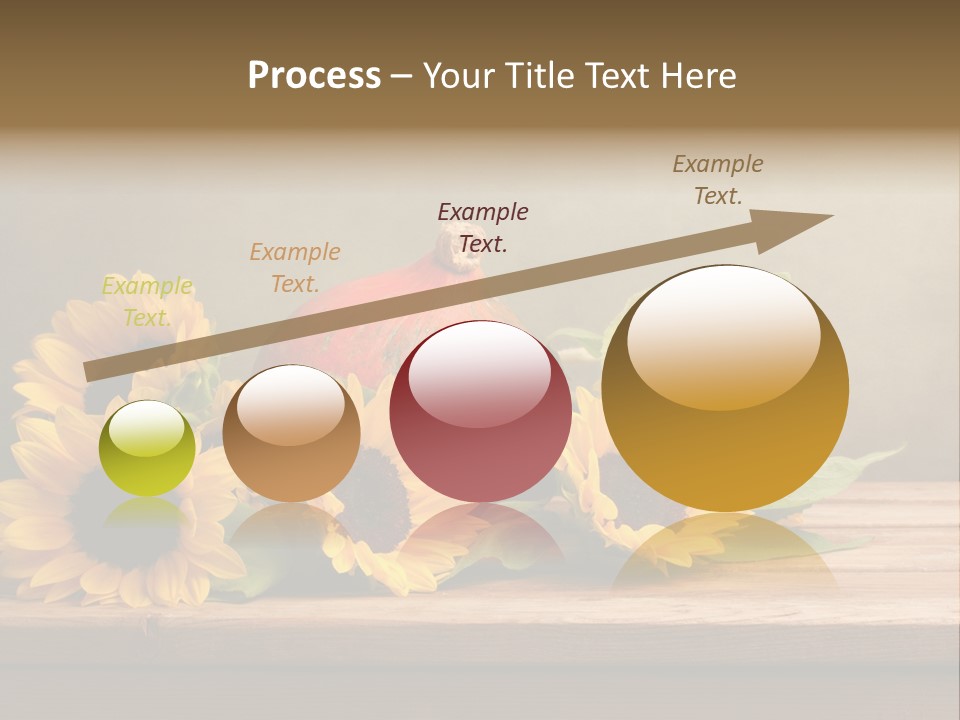 Brochure Aged Sunflower PowerPoint Template