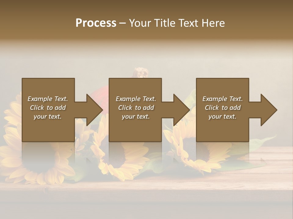 Brochure Aged Sunflower PowerPoint Template
