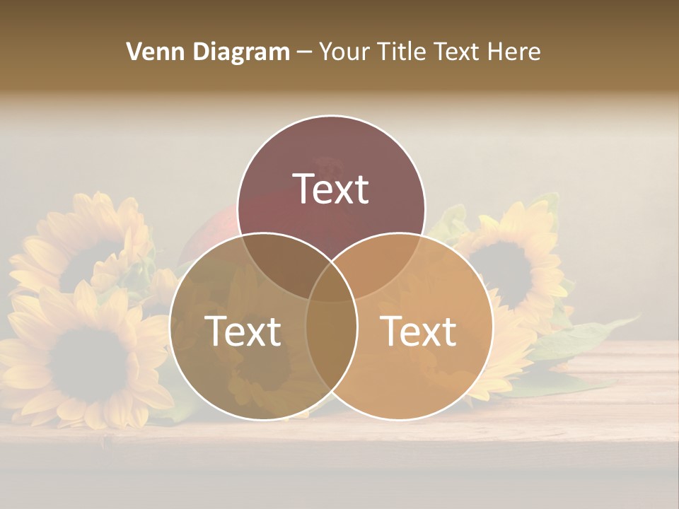 Brochure Aged Sunflower PowerPoint Template